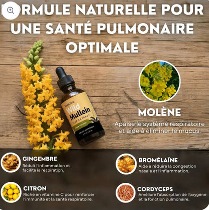 Détox Poumons 3-en-1