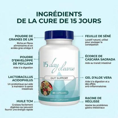 Détox Ventre 15 Jours – Dégonflez votre ventre et retrouvez une digestion légère et naturelle pour un ventre plat